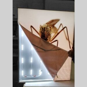 Backlit Fabric Light Box